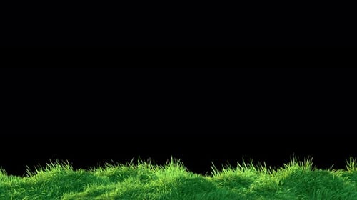 Langsamer Loop mit Graswindgeräuschen auf Alpha 4K