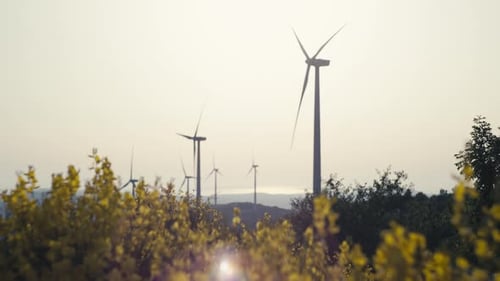 Wind Farm in the Landscape of Mountain Flowers at Sunset