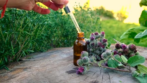 Burdock Extract in a Bottle Selective Focus