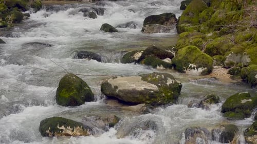Tilt down shot of natural river flowing down mountain between mossy rocks in Austria - SLow motion f
