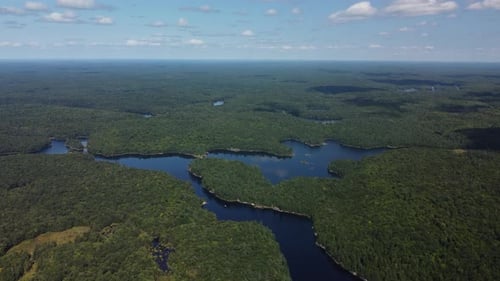Aerial view of winding Ontario lakes weaving through dense green summer forest