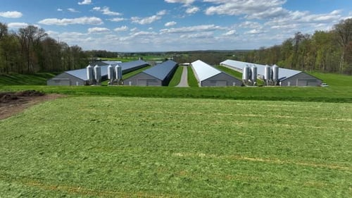 Aerial drone flight Over large long stables on rural farmland of USA. Sunny day in spring season wit