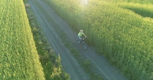 Aerial View on Young Boy That Rides a Bicycle Thru a Wheat Grass Field on the Old Rural Road