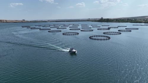 Aerial View Of Fish Ponds In The Dam Lake