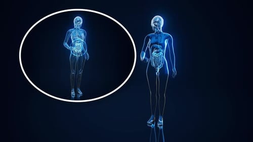 Conceptual animation of the gut microbiome