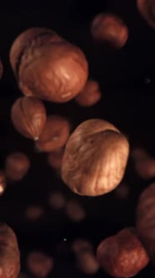 Hazelnuts Fall Down Filmed on a Highspeed Camera at 1000 Fps