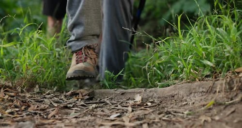 Walking stick, feet and man hiking in nature on trail for adventure, fitness or exercise