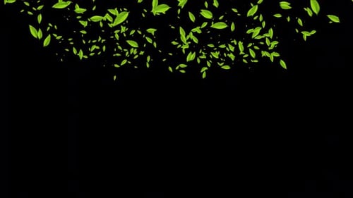 Natural Green Leaf Particle Wipe Animation