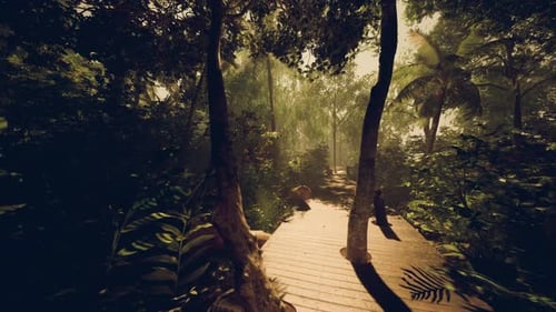 Immersive Journey Through Lush Green Jungle Path