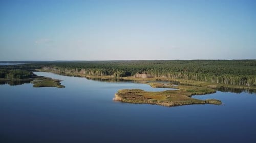A Quiet Little Spot Of Nature De Lis Is Surrounded By A Lake.