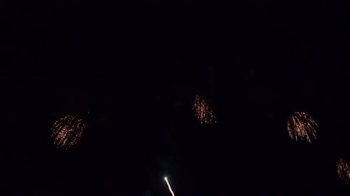 Brilliant Fireworks Exploding in Dark Night Sky