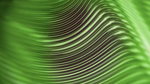 Abstract Green Wave Background 4K Loop