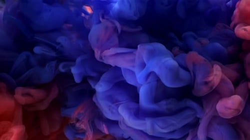 Colorful Blue and Red Ink Swirls in Water