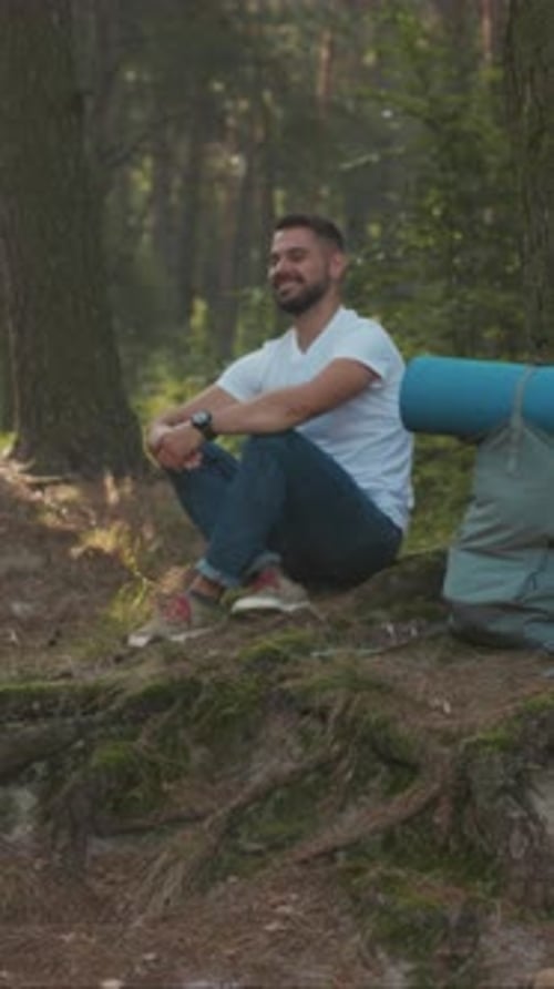 Early Morning Forest Relaxation Tranquil Scene of Individual Sitting Beneath Pine Trees in Morning