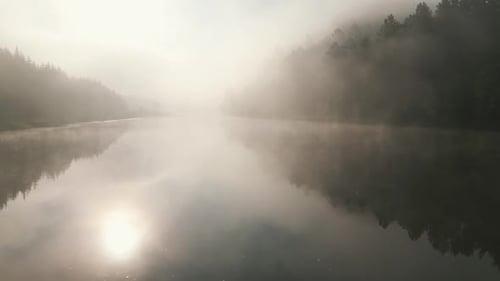 Morning on the River Early Morning Reeds Mist Fog and Water Surface on the River