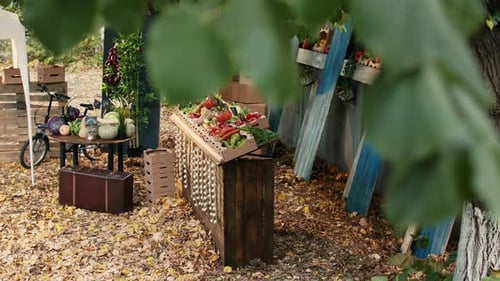 Local Seasonal Products at Farmers Market Counter Stand