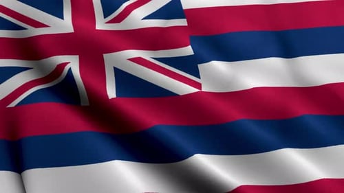 Realistic Hawaii State Flag Waving Loop Animation