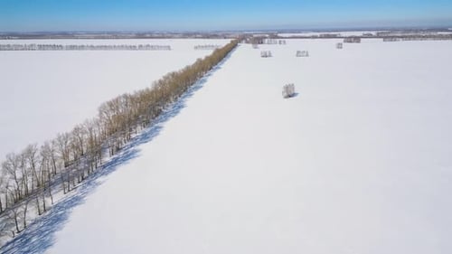 Aerial Drone Footage Flying Over a Snow Covered Fields in Winter Day