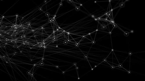 Digital plexus network data points and beams loop