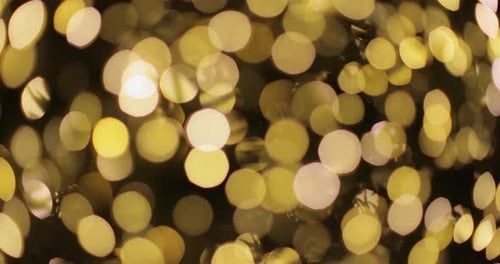 Twinkling Golden Christmas Lights Bokeh Effect