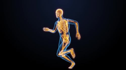 3D Animated Human Skeleton Running with Glowing X-ray Effect