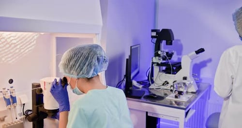 Two Adults Work in Modern Medical Laboratory