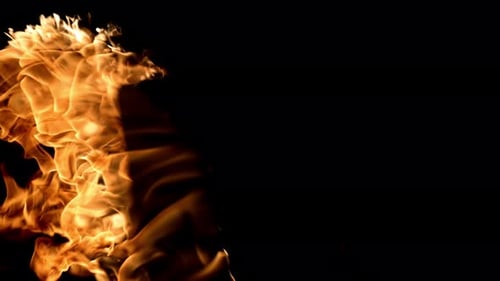 Captivating Flames Spreading Across a Dark Background