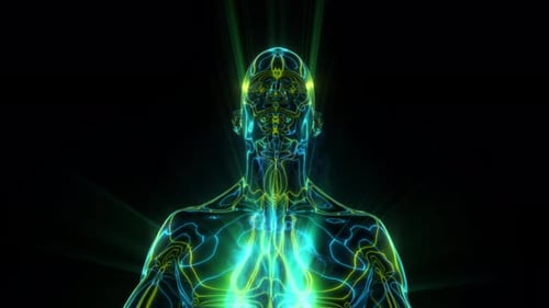 Neon Futuristic Human Body Outline Energy Flow Animation