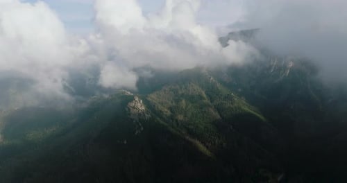 Beautiful Mountain Landscape in Summer Forest and Rocks