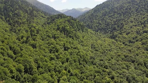 Beautiful mountains covered with dense green forest. Aerial view. Mountain landscape.