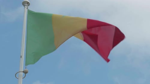 Flag Waving on a Pole Against a Sky