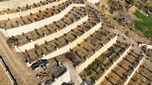 Hillside Elegance Cinematic Drone Explores the Serene Avocado Orchards in Southern Turkey