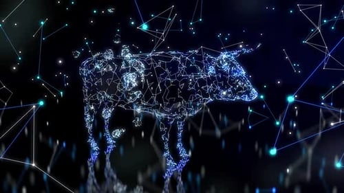 Abstract animation of a bull market