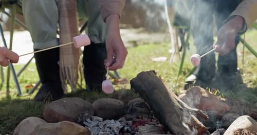 Friends, fire and marshmallow for camping, outdoor and relax together on holiday in nature
