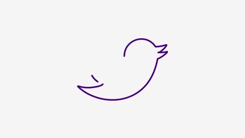 Social Media Bird Logo Line Drawing Reveal Animation