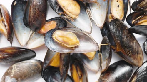 Fresh Blue Mussels Close Up on White Background