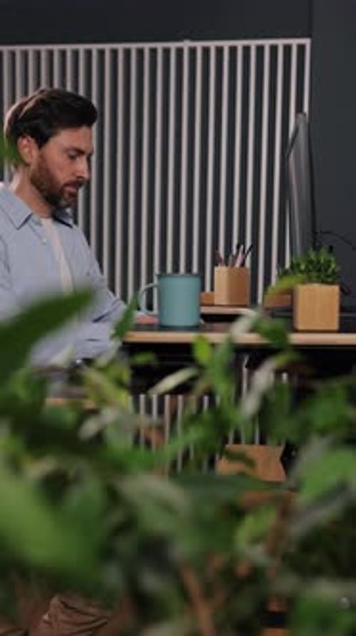 Desk Upright Plants Working Modern Office