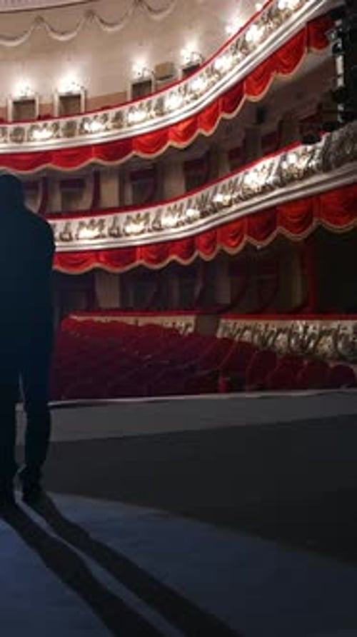 No people in theater auditorium. Actor has rehearsal in front of empty hall. Vertical video
