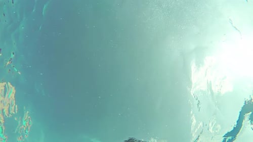 Underwater Of Man Swimming In Pool Resort