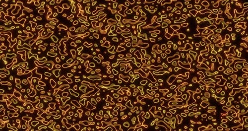 Abstract Glowing Fluid Lines Seamless Loop Background