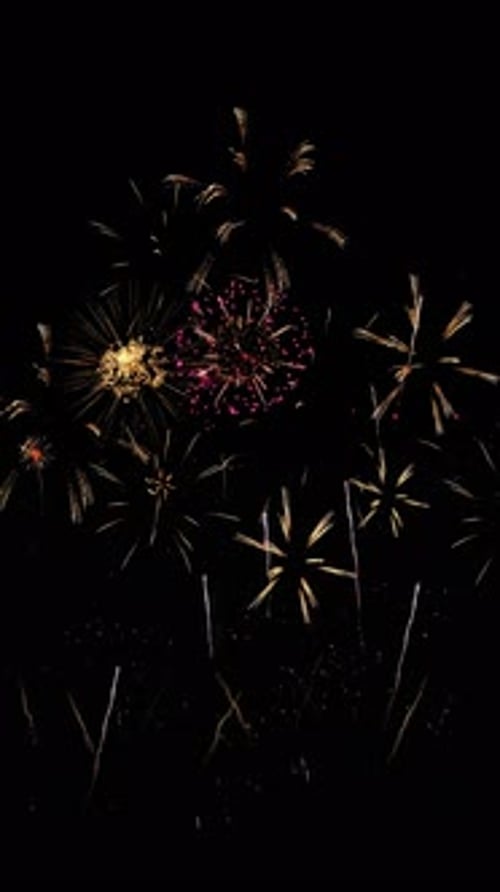 Vibrant Gold and Red Fireworks Explosions in Night Sky