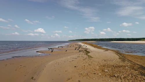 A Beautiful Scenic Shoreline with Expansive Sandy Beach and Calm Clear Waters in Stunning Resolution