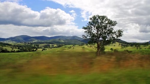 Driving Along Forest and Fields in Australia Auto