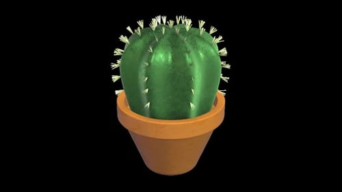 Vibrant Green Cactus in Terracotta Pot