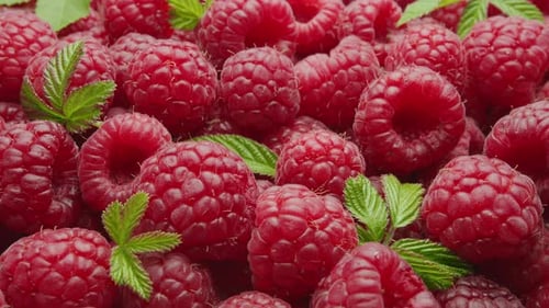Raspberries 156a