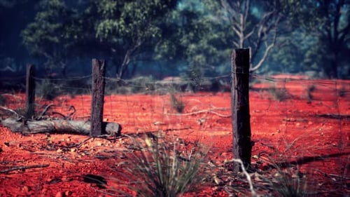 Barbed Wire Fence in Arid Outback Landscape Animation