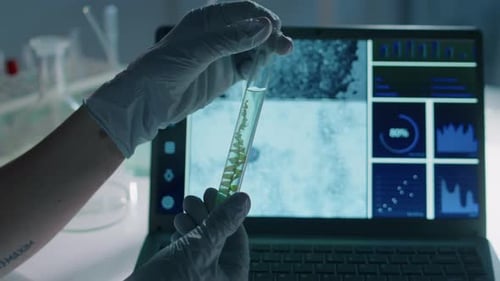 Hands of Female Biologist Studying Tube with Strand of Green Algae