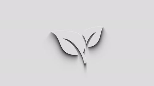 Modern Nature Leaf Icon Reveal Animation