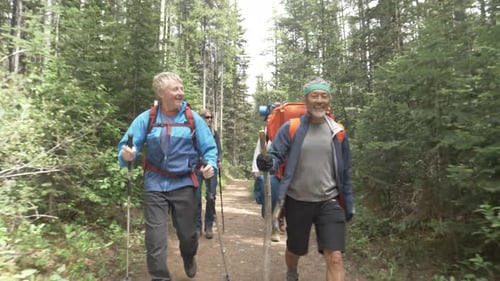 Friends enjoying a sunny summer hike through the woods together