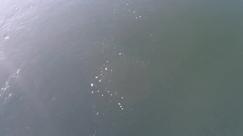 Drone flying above lake shot from bottom to top